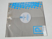 Load image into Gallery viewer, Scott Hardkiss Presents God Within : The Phoenix (Remixes) (12")

