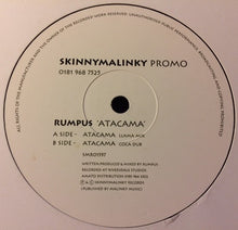 Load image into Gallery viewer, Rumpus : Atacama (12&quot;, Promo)
