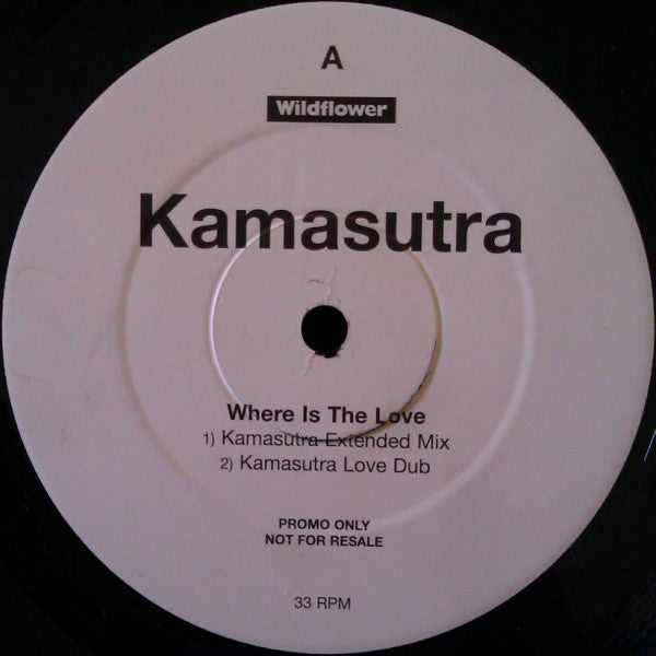 Kamasutra : Where Is The Love (12