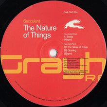 Load image into Gallery viewer, Succulent : The Nature Of Things (12")
