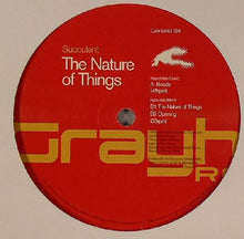 Load image into Gallery viewer, Succulent : The Nature Of Things (12")
