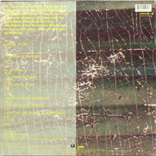 Load image into Gallery viewer, Sven Väth : Accident In Paradise (2xLP, Album)
