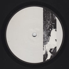 Load image into Gallery viewer, Mikael Romanenko : To Let Go (12")
