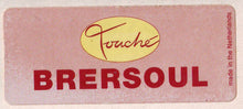 Load image into Gallery viewer, Brersoul : Joy (12")
