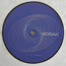 Load image into Gallery viewer, Low-Life : Sideways (12")
