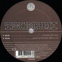 Load image into Gallery viewer, Adam Sheridan : Solus (12")
