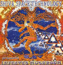 Load image into Gallery viewer, Infected Mushroom : Intelligate / Small Moves (12")
