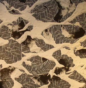 S Olbricht : Trancess   (12