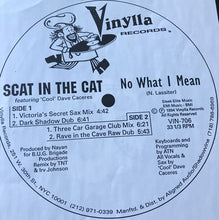 Load image into Gallery viewer, Scat In The Cat Featuring Cool Dave Caceras* : No What I Mean (12&quot;, Promo)
