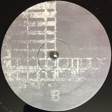 Load image into Gallery viewer, Hauschka : A NDO C Y (LP, Album, Ltd)
