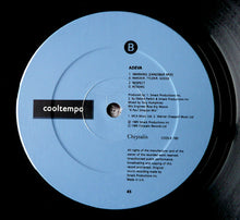 Load image into Gallery viewer, Adeva : Warning! (12&quot;)

