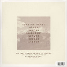 Load image into Gallery viewer, Seb Wildblood : Foreign Parts (2xLP)
