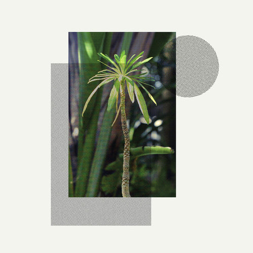 Stefan Jós : Primitives (LP, Album, Whi)