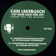 Load image into Gallery viewer, Cari Lekebusch : Vet Dom Som För Att (Know They For Because) (2x12")
