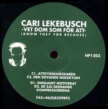 Load image into Gallery viewer, Cari Lekebusch : Vet Dom Som För Att (Know They For Because) (2x12")
