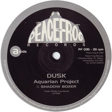 Load image into Gallery viewer, Dusk : Aquarian Project (12")
