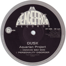 Load image into Gallery viewer, Dusk : Aquarian Project (12")
