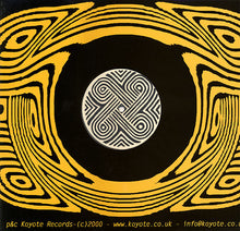 Load image into Gallery viewer, Psychoid : Manic Organic / Second Sight (12")

