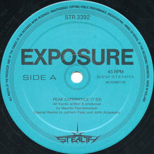 Load image into Gallery viewer, Exposure : Peak Experience (12")
