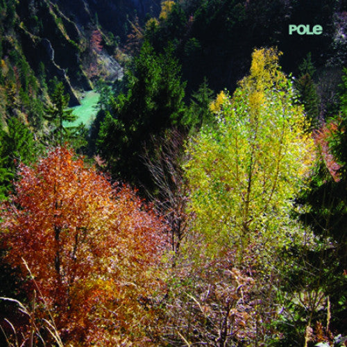 Pole : Wald (LP + LP, S/Sided, Etch + Album)