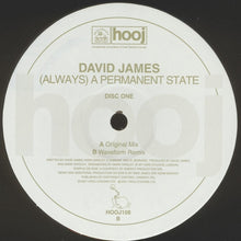 Load image into Gallery viewer, David James : (Always) A Permanent State (12", 1/2)
