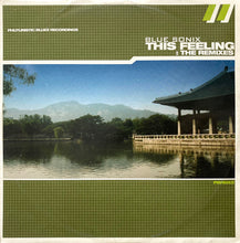 Load image into Gallery viewer, Blue Sonix : This Feeling : The Remixes (12")
