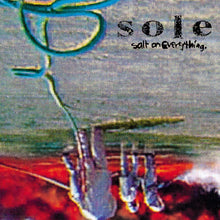 Load image into Gallery viewer, Sole : Salt On Everything (12&quot;)
