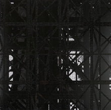 Load image into Gallery viewer, The Binary Collective : The Binary Collective (LP)
