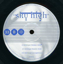 Load image into Gallery viewer, Voices (11) Present Individual : Sky High (12&quot;)
