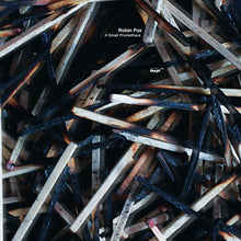Load image into Gallery viewer, Robin Fox (2) : A Small Prometheus (LP, Album, Ltd)
