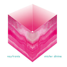 Load image into Gallery viewer, Naytronix : Mister Divine (LP, Album, 180)
