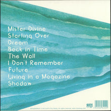 Load image into Gallery viewer, Naytronix : Mister Divine (LP, Album, 180)
