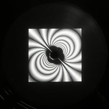 Load image into Gallery viewer, YPY : Visions (12&quot;)
