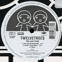 Load image into Gallery viewer, Twelvetrees : The Lost Tribe (12")
