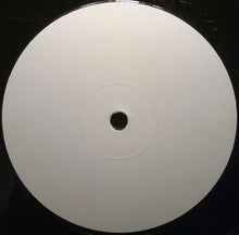 Load image into Gallery viewer, DJ Schwede : The Party (12&quot;, W/Lbl, Sti)
