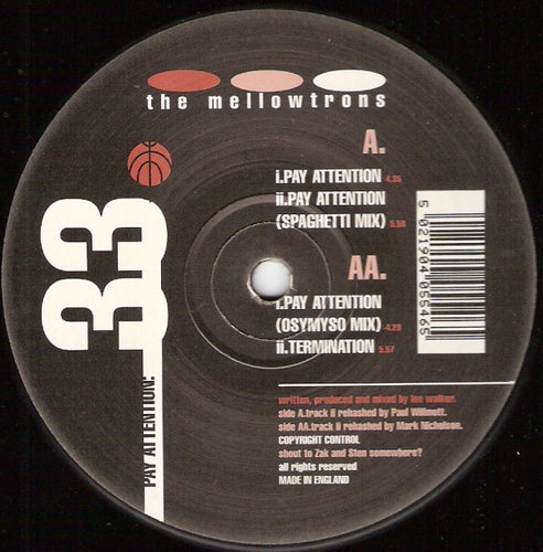 The Mellowtrons : Pay Attention (12