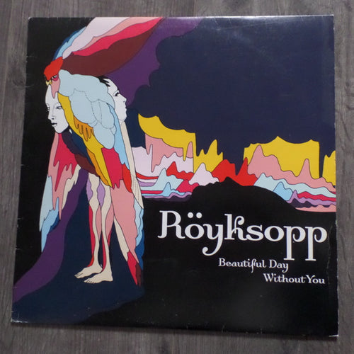 Röyksopp : Beautiful Day Without You (12