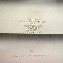 Load image into Gallery viewer, Nico Motte* : Life Goes On If You Are Lucky (LP, Album)
