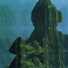 Load image into Gallery viewer, Skuffface / Caldera (11) : RIV 001 (12")
