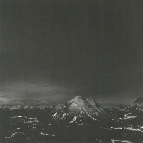 Skee Mask : Shred (2xLP, Album)