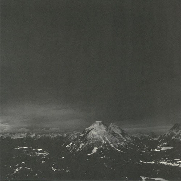 Skee Mask : Shred (2xLP, Album)