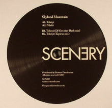 Load image into Gallery viewer, Skyland Mountain : Tolstyi (12&quot;, EP)

