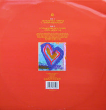 Load image into Gallery viewer, T2 (2) Feat. Robin S* : You Got The Love (12&quot;)
