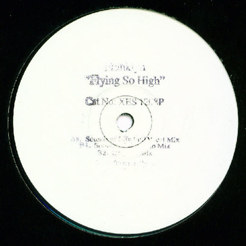 Franklyn : Flying So High (12