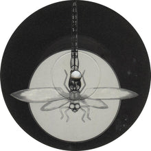 Load image into Gallery viewer, Venus : I Got Something (12")
