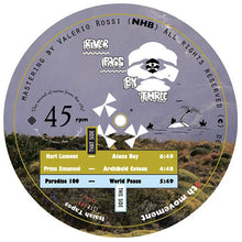 Load image into Gallery viewer, Various : River Pass By Three (12&quot;)
