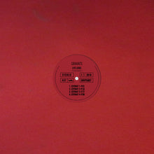 Load image into Gallery viewer, JiFlure : Extraits (12&quot;)
