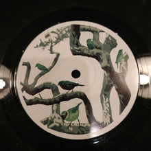 Load image into Gallery viewer, Monkey Steak : Electric Birdland (12&quot;)
