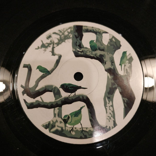 Monkey Steak : Electric Birdland (12