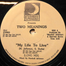 Load image into Gallery viewer, Two Meanings : My Life To Live (12")
